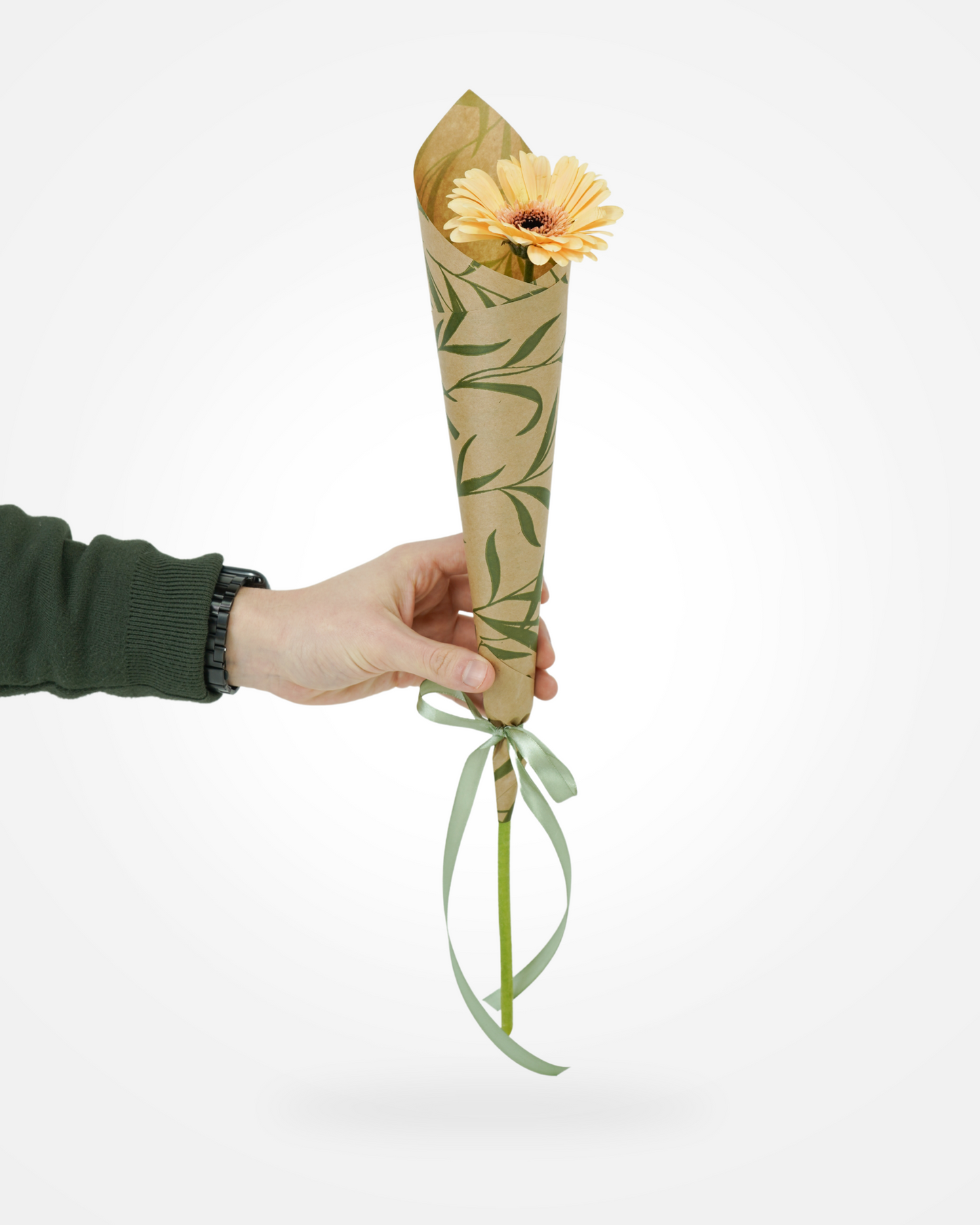Gerbera