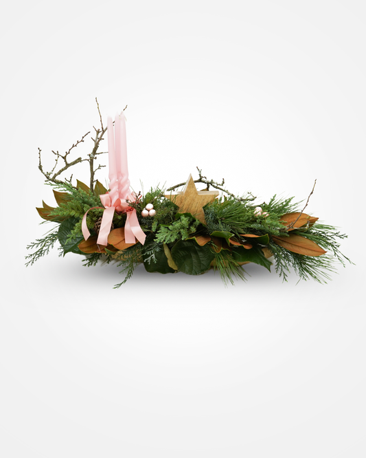 Centro Estrela do Bosque