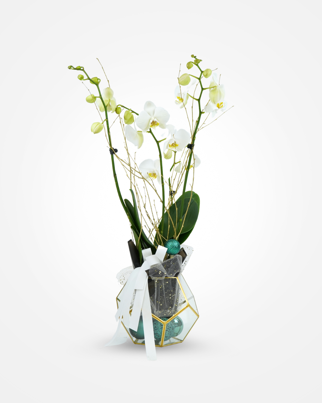 Orquídea